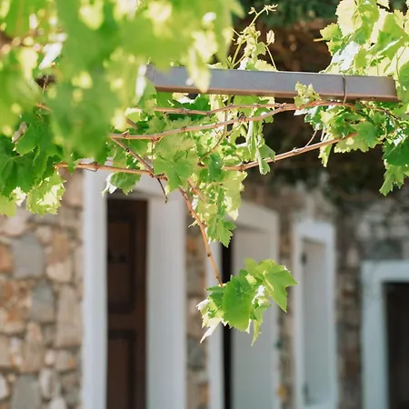 Infinity Iv - Cozy W Relaxing Vibes In Kos Апартаменты *