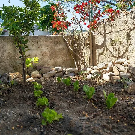 Lägenhet Infinity Iv - Cozy W Relaxing Vibes In Kos Lagoudi Zia