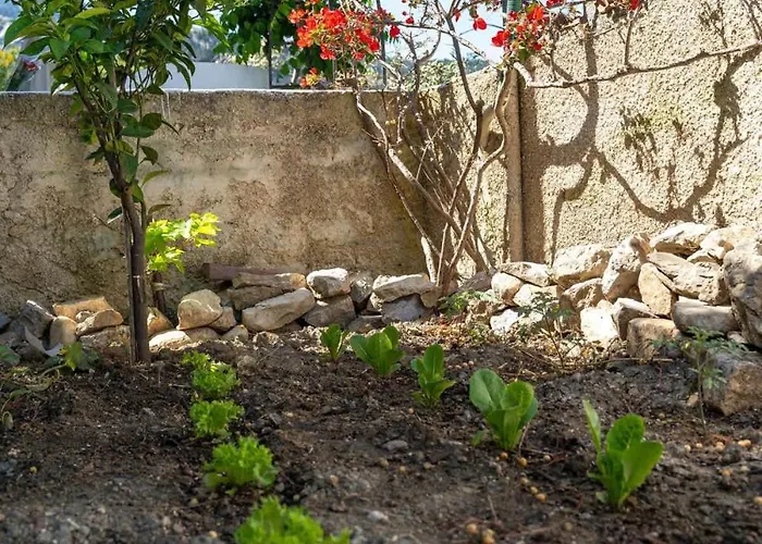 Daire Infinity Iv - Cozy W Relaxing Vibes In Kos Lagoudi Zia