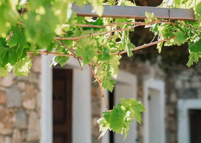 Infinity Iv - Cozy W Relaxing Vibes In Kos شقة *